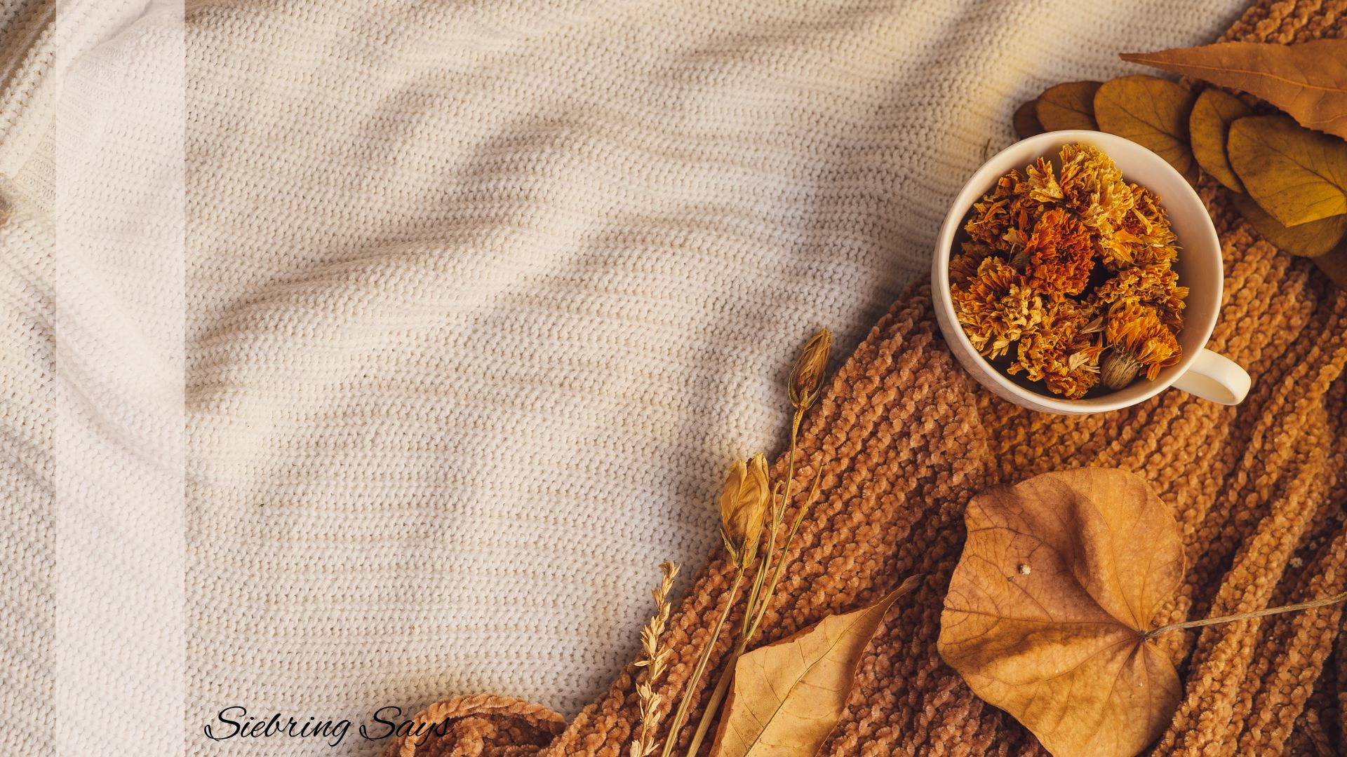 Jsut Fall Things My Favorite Fall Things + Recommendations - Siebring Says